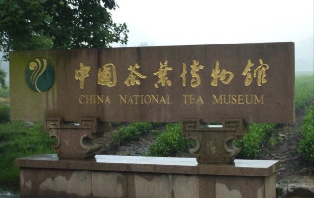 wisata museum teh nasional tiongkok hangzhou