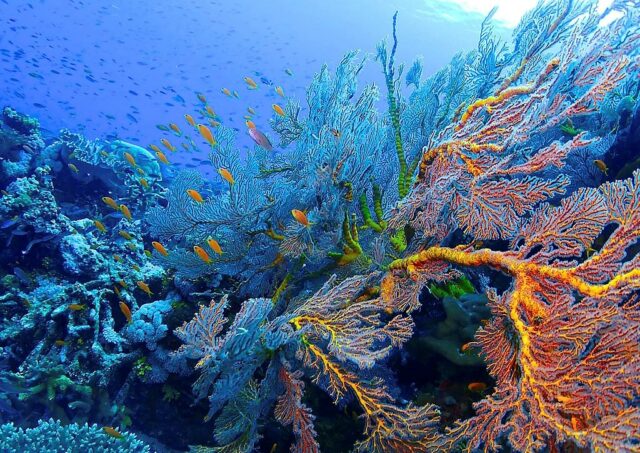 eastern fields tempat indah di papua nugini