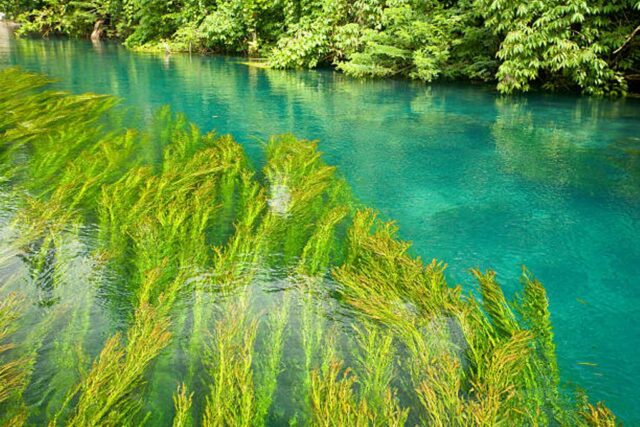 sungai sivoli tempat indah di papua nugini