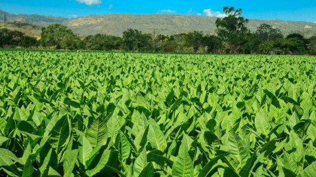 esteli destinasi wisata nikaragua