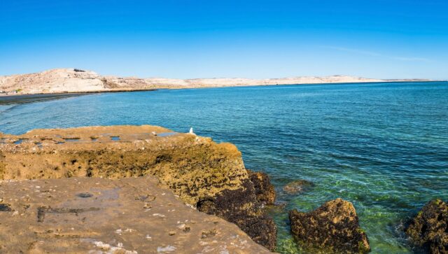 kota indah puerto madryn di argentina