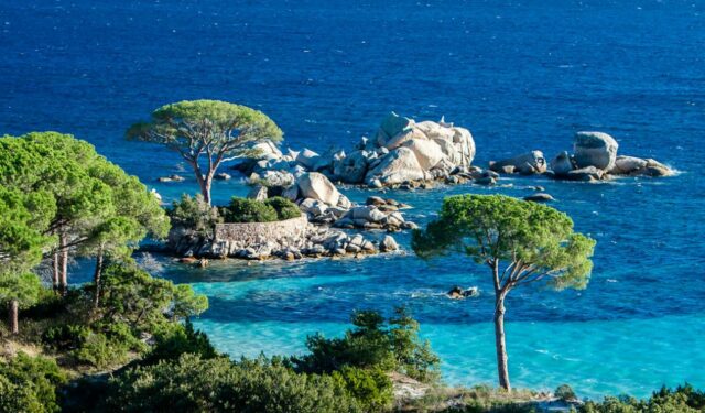 pantai palombaggia yang mirip hawaii di eropa