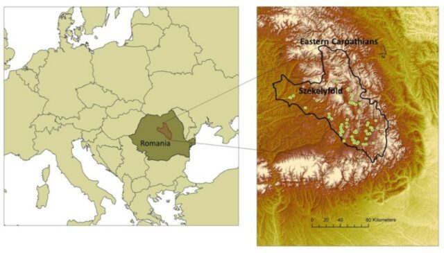 wilayah geografi székely land