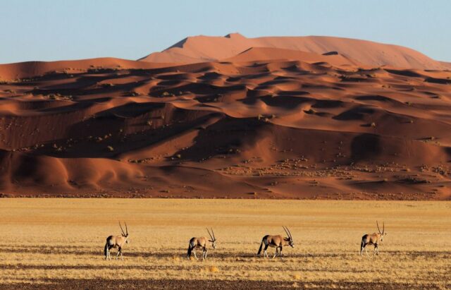 namibia negara di afrika yang aman