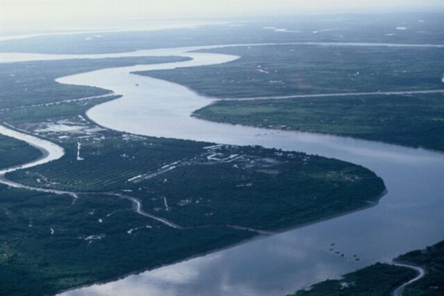 delta sungai mekong istimewa