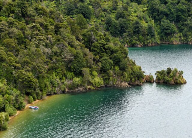 pemandangan marlborough sounds selandia baru